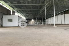 Cho thuê kho bãi trần đại nghĩa, lê minh xuân, bchánh. kv 2ha, kho 2000m2, 4000m2.
