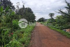 Bán lô đất mặt tiền đường 30m xã hòa đông quốc lộ 26 krông pắc giá 1,33 tỷ