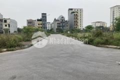 Bán nhanh mảnh tđc trâu quỳ đón sóng tq5 giá cực yêu thương