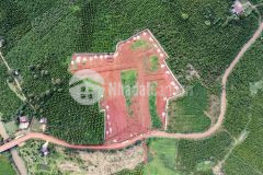 Đất nền mặt tiền đường đoàn thị điểm lộc thanh bảo lộc