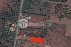 Bán đất nông nghiệp quy hoạch odt giá đầu từ 600 triệu