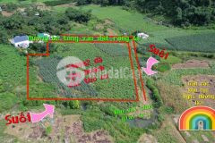 Bán gấp lô đất có diện tích 5000m2 thế đất bằng phẳng cực đẹp để làm nghỉ dưỡng