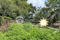 Bán 254m2 đất tái định cư khu b đồng mô ba vì, cổng sau sân golf, sẵn vỉa hè, đường to rộng