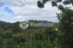 Đất mộc châu giá rẻ, cơ hội tiềm năng tang giá cao