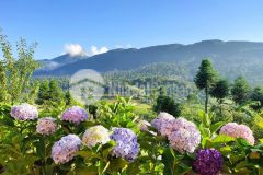 Mảnh đất y tý gần khu dân cư đông đúc. đón sóng khu giải trí,resort lớn