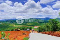 6 lô liền kề giá f0 chưa ra thị trường tại nam hà lâm hà lâm đồng bao mọi chi phí