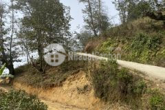 Nhanh tay sở hữu gần 400m2 tại thôn phan cán sử, địa điểm săn mây đẹp nhất y tý