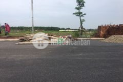 Bán đất đấu giá x3 đào thục xã thụy lâm đông anh đường 15m giá đầu tư