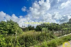 Bán lô đất tại thanh an sát bên ngã tư sòng