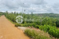 Chính chủ bán lô đất nền 1039m2. qh full thổ cư. tại liên hà. lâm hà. giá 1.15 tỷ. lh 0978053738