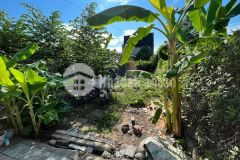 Bán đất kiệt 44 an ninh, hương long giá rẻ đầu tư chờ cầu nguyễn hoàng