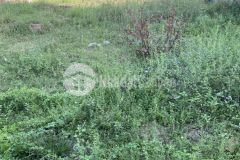 Cần gả nhanh lô đất đẹp tại ninh xuân