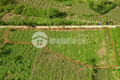 Siêu phẩm nghỉ dưỡng thung rếch có dt thực 3680m2 trong đó có 400m2 thổ cư