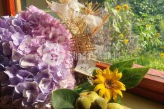 Mảnh đất view biển mây y tý vị trí đắc địa. đi trước đón đầu,sóng sân bay