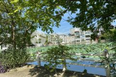 Bán đất phúc lợi, cạnh hồ điều hòa, ngõ thông ôtô nhỏ, nhỉnh 3 tỷ.