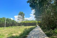 Bán đất kp1phường an đôntxqtchỉ 6xxtr