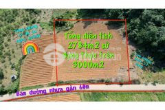 Bán gấp siêu phẩm nghỉ dưỡng ở mường thung có dt 2784m2