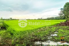 Xoay vốn kinh doanh bán lô đất siêu đẹp sau thị trấn đông thành sổ sẵn