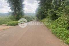 D651vpt bán đất sào xã eatu tp buôn ma thuột