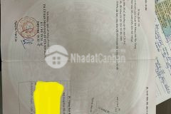 Chỉ với xxx triệu, sở hữu ngay lô đất tại thanh luận sơn động