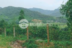 Bán gấp siêu phẩm nghỉ dưỡng ở thượng tiến có dt 8000m2 trong đó có 400m2 thổ cư