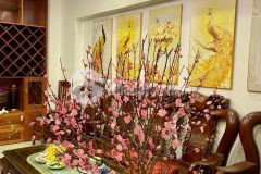 Trung tâm cầu giấy cần bán nhà đường nguyễn văn huyên 61m2 giá 12.5 tỷ