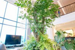 Cực sốc, giảm giá s u xuất cảnh nước ngoài cần bán phú nhuận