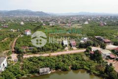 Hãy trở thành chủ sở hữu vàng của lô đất kiên thành lục ngạn