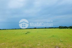 Đất ven biển view biển, cách biển 700m, nằm đằng sau novaland mũi yến 2.800 bao lên thổ cư