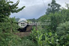 Phiêng luông mộc châu đường ql43, bán lô đất 900m2 vị trí view rất đẹp chỉ 1.x tỷ.