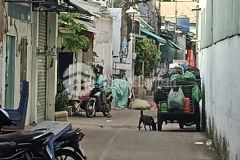 Nhà hẻm xe hơi phú thọ hòa,tân phú 61,5m2 giá chỉ 5tỷ.