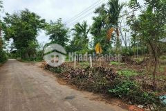 2 lô ea tiêu liền kề giá tốt cho nhà đầu tư