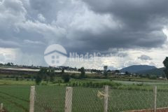 Bán 273m2.có 100m odt. sổ riêng. giá đầu tư ngay thị trấn thạnh mỹ đơn dương. lh 0978053738