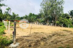 Bán lô đất đẹp lung linh, 1.045m2, giá chỉ nhỉnh 3 tỷ, gần ql1a cổng chính kcn đồng nai