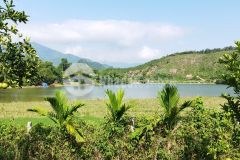 Siêu phẩm nghỉ dưỡng nhà vườn, view 4 bề là cánh đồng và hồ nước lớn dt hơn 6591m2