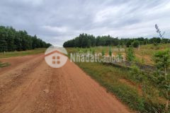 Một lô đất vuông vức cách kdc thị trấn lương sơn 1km, đất đẹp vuông vức có đường trên sổ