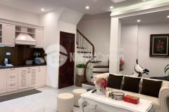 Bán nhà ngõ 266 đội cấn ba đình dt 31m2 x 5 tầng mt 6m giá nhỉnh 4tỷ.