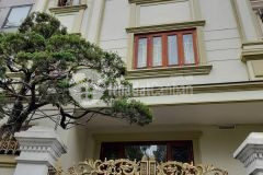 Hiếm gara ôtô ô chờ thang máy sổ đẹp giá cực tốt đền lừ hoàng mai