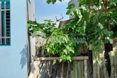 Đất lạc thị 40m2, 2 thoáng vĩnh viễn ngõ nông mặt tiền rộng 1 tỷ hơn.