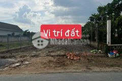 Gấp gấp bán lô đất bình chánh kẹt tiền cần bán 500m2 đất hưng long bình chánh,