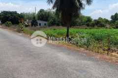 Đất tây ninh chính chủ đường nhựa kcn giá chỉ 600 triệu