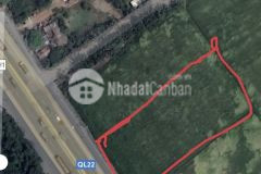 Mặt tiền quốc lộ 22 tân hiệp hóc môn 3700m2 ngang bề thế 42m.