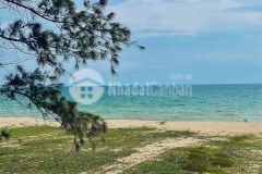 Bán 602m2 đất biển quy hoạch ont, dân cư điện nước đầy đủ.lh hoặc add zalo ạ 0919626750