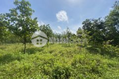 Siêu phẩm khoáng nóng có diện tích hơn 1000m2 full thổ cư, nguồn khoáng nóng 32 độ c