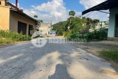 Đất thọ bình trục nhựa liên xã kinh doanh tốt