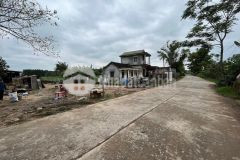 Bán đất triệu giang, mặt tiền đường tránh vé