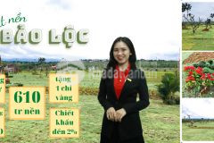 Đất nền lộc tân. full thổ, mặt tiền đường. vị trí đẹp giá 600tr. liên hệ 0708 503 554