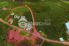 Cần bán đất mặt tiền đường lớn dt 12x37.5m, lh. 0966.047.768