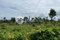 Bán lô đường đá dăm cưsue h hen