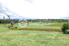 Bán đất bảo lộc, thổ cư 100, sổ sẵn, giá chỉ từ 610trnền. liên hệ 0906626505